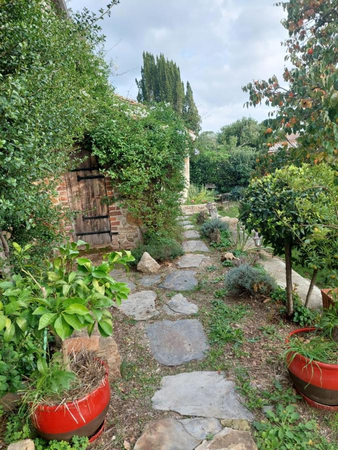 Le Mas Du Galibot Chambre Cambalotte Saint-Florent-sur-Auzonnet Eksteriør billede
