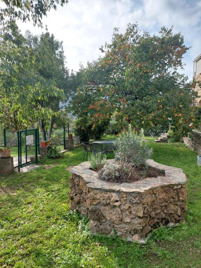 Le Mas Du Galibot Chambre Cambalotte Saint-Florent-sur-Auzonnet Eksteriør billede