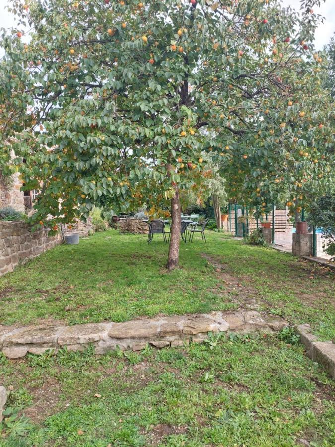 Le Mas Du Galibot Chambre Cambalotte Saint-Florent-sur-Auzonnet Eksteriør billede